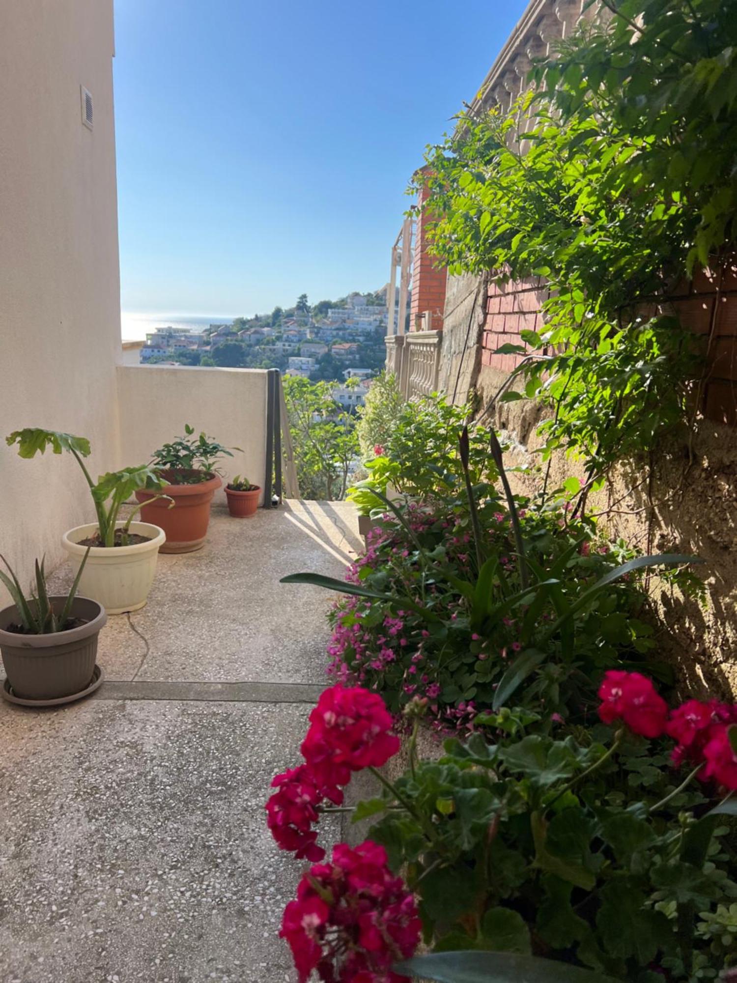 אולסינץ' Suka Apartments מראה חיצוני תמונה